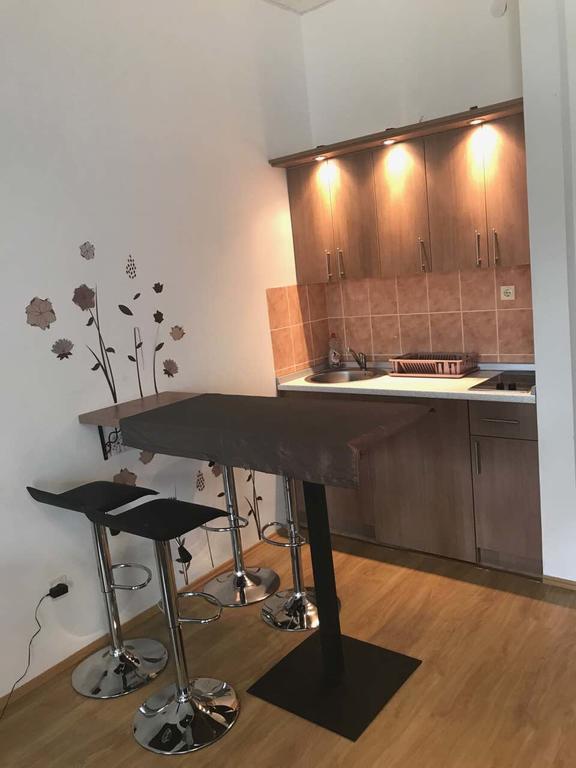 Felix Apartment Ζλάτιμπορ Εξωτερικό φωτογραφία